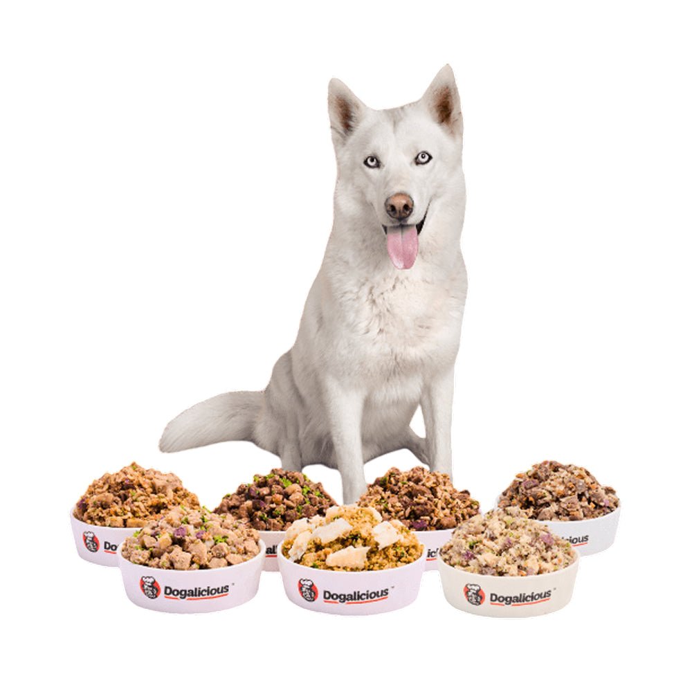 Frozen Fresh Made Low Allergy Venison Recipe Dog Food - Image 4