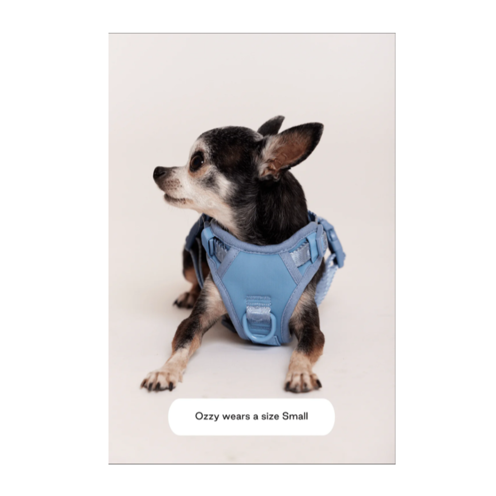 Easy Fit Harness - Image 3