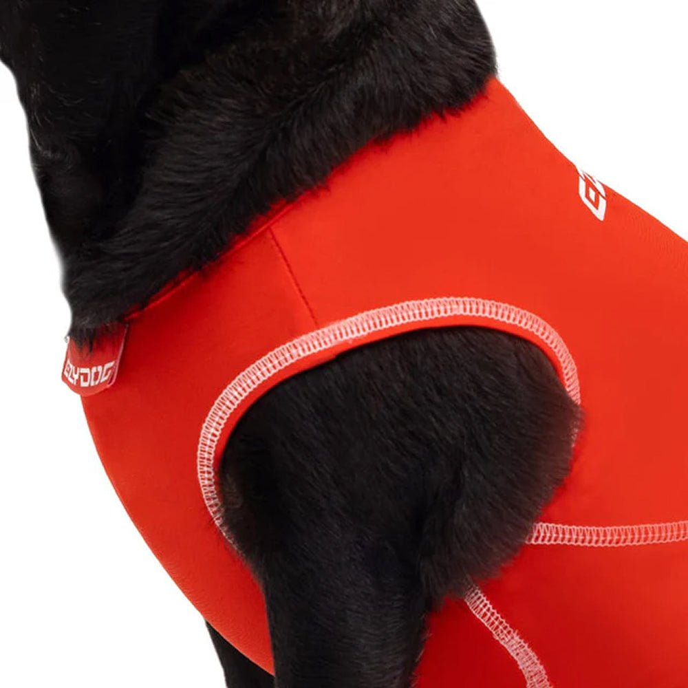Rashie - Image 7