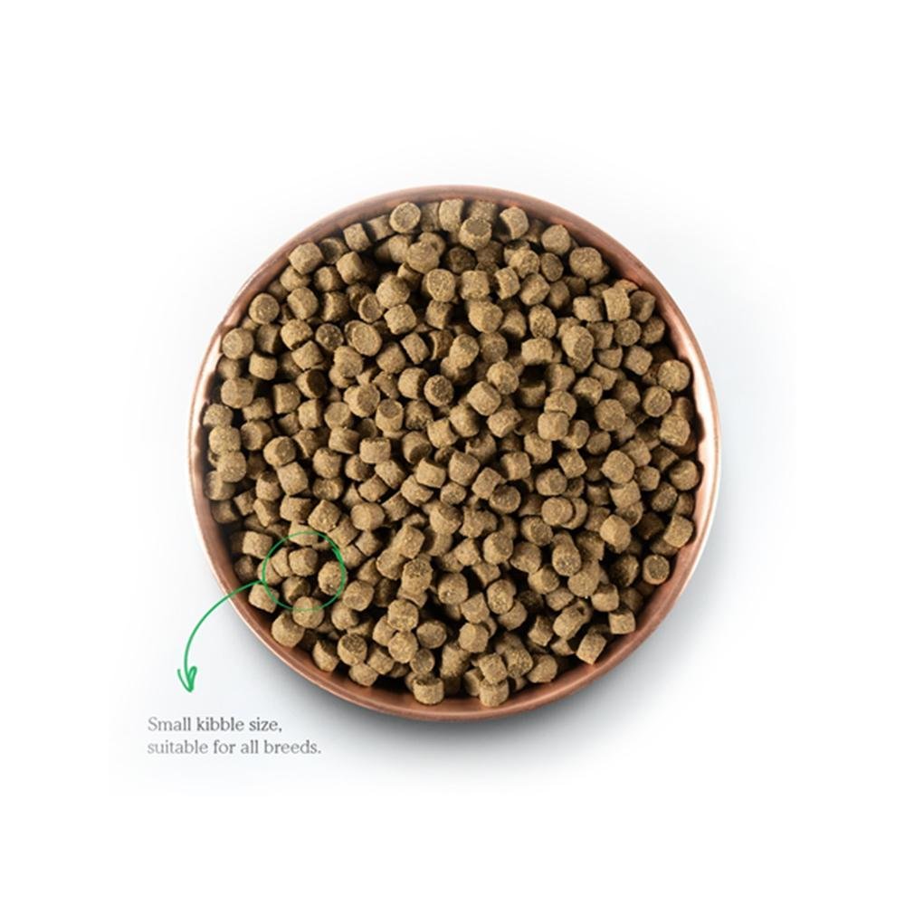 Puppy Chicken & Wild Caught Salmon Dog Dry Food - Image 3