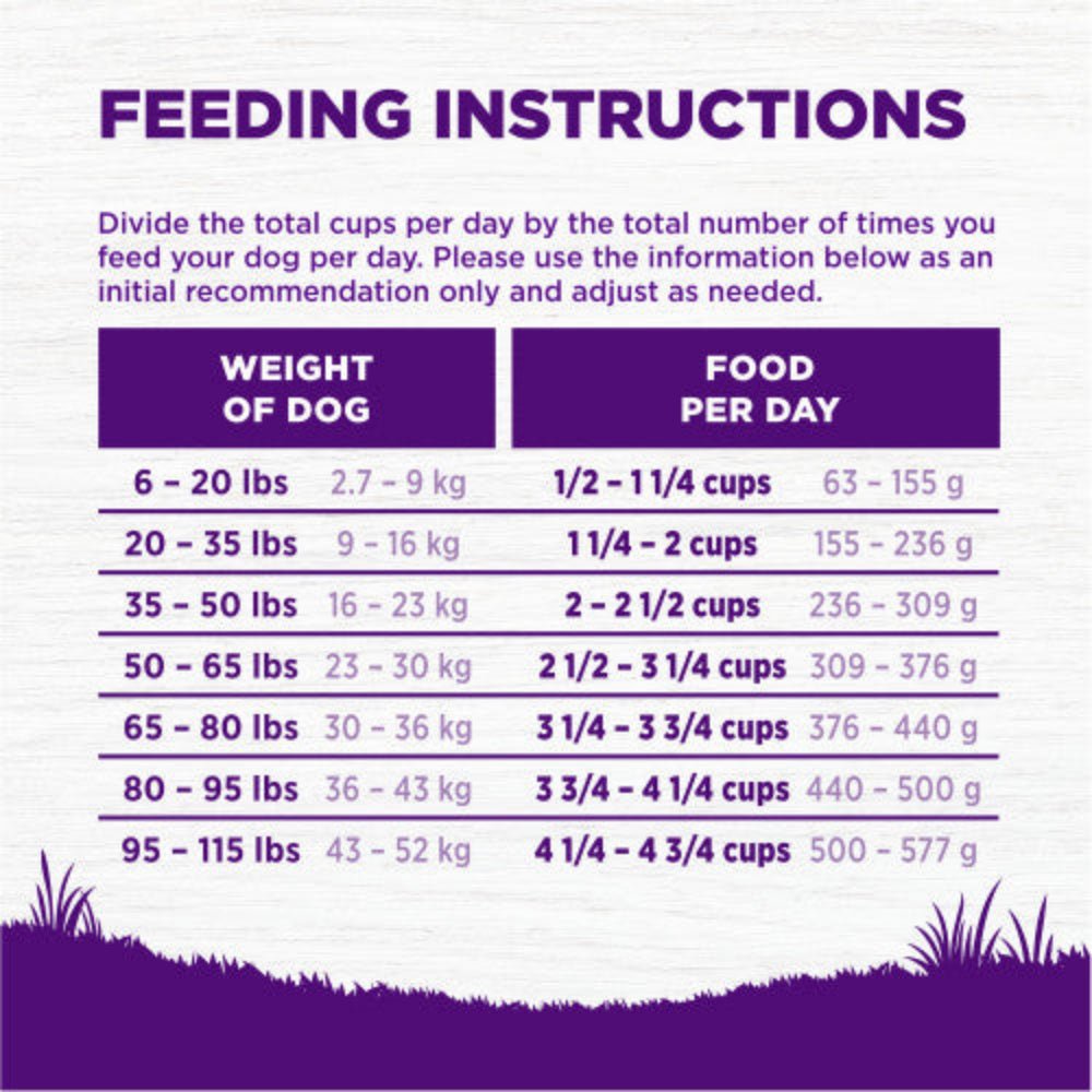 Complete Health Grain Free Lamb Adult Dog Dry Food - Image 3