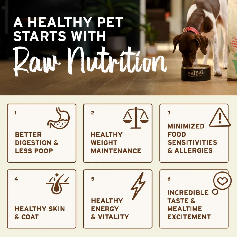 Freeze Dried Lamb Nuggets Dog Food - Image 4