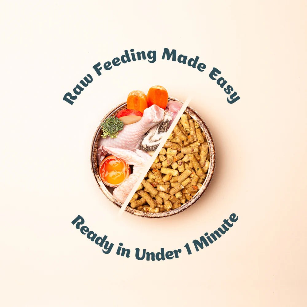 Freeze-Dried Free-Range Chicken Dog Food - Image 8