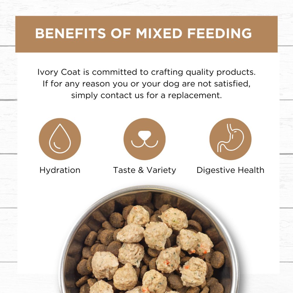 Frozen - Grain Free Lamb & Salmon Meatballs for Adult Dog - Image 5