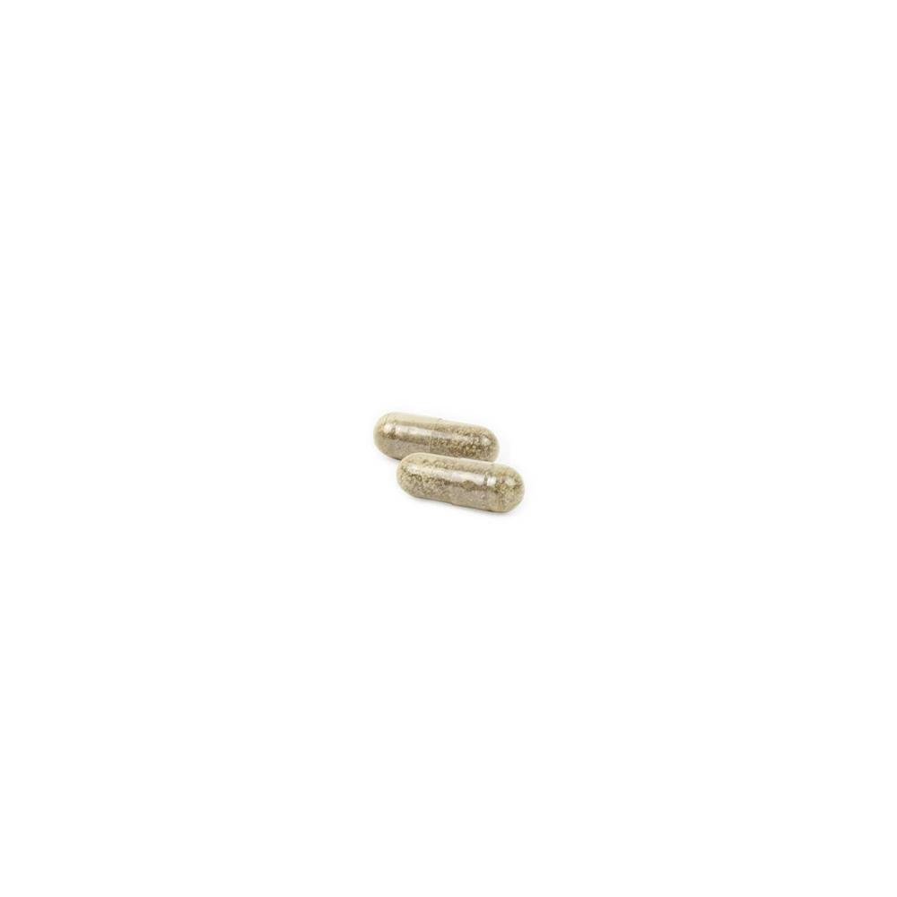Gentle Digest Capsules - Image 4