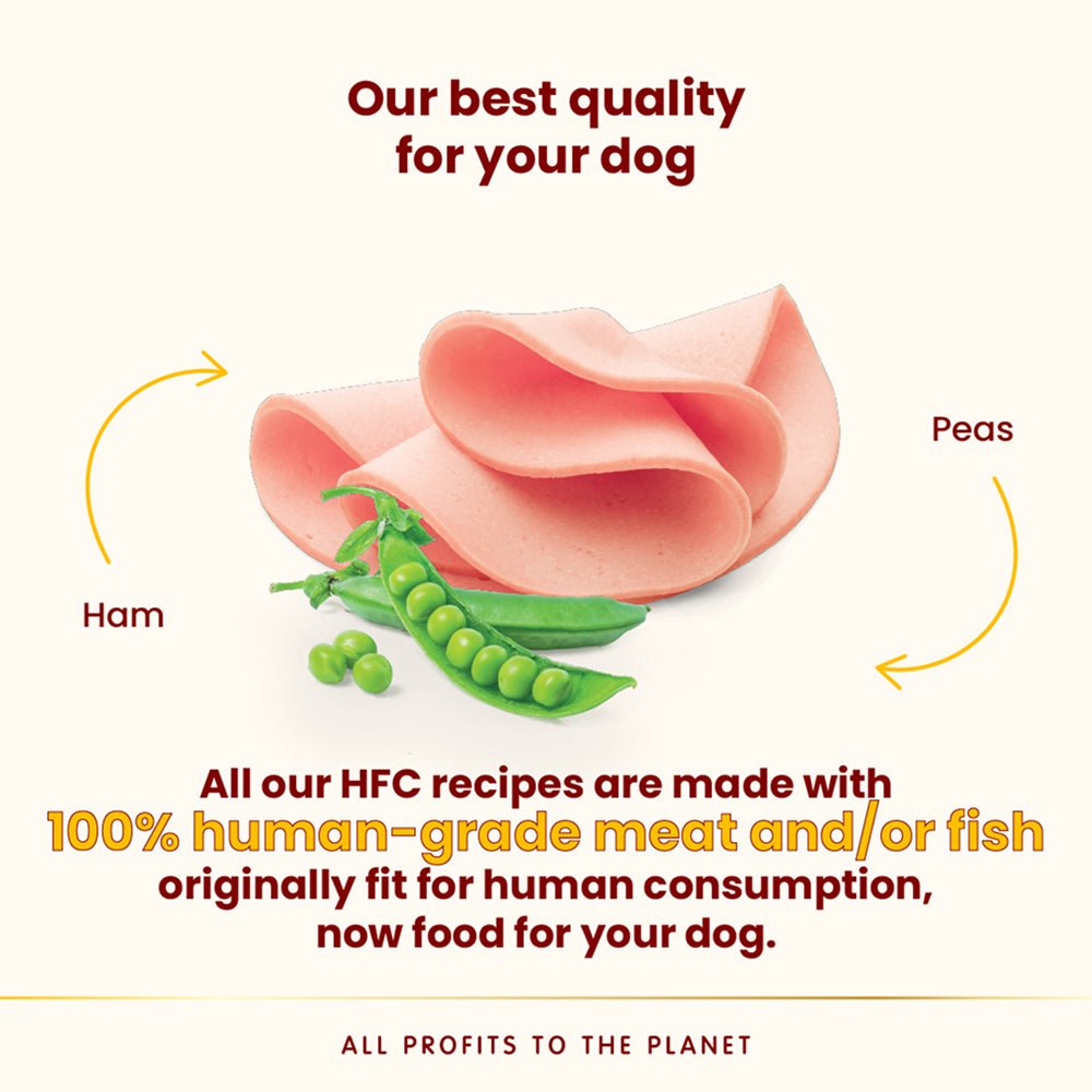 HFC Complete Ham With Peas Dog Can - Image 3