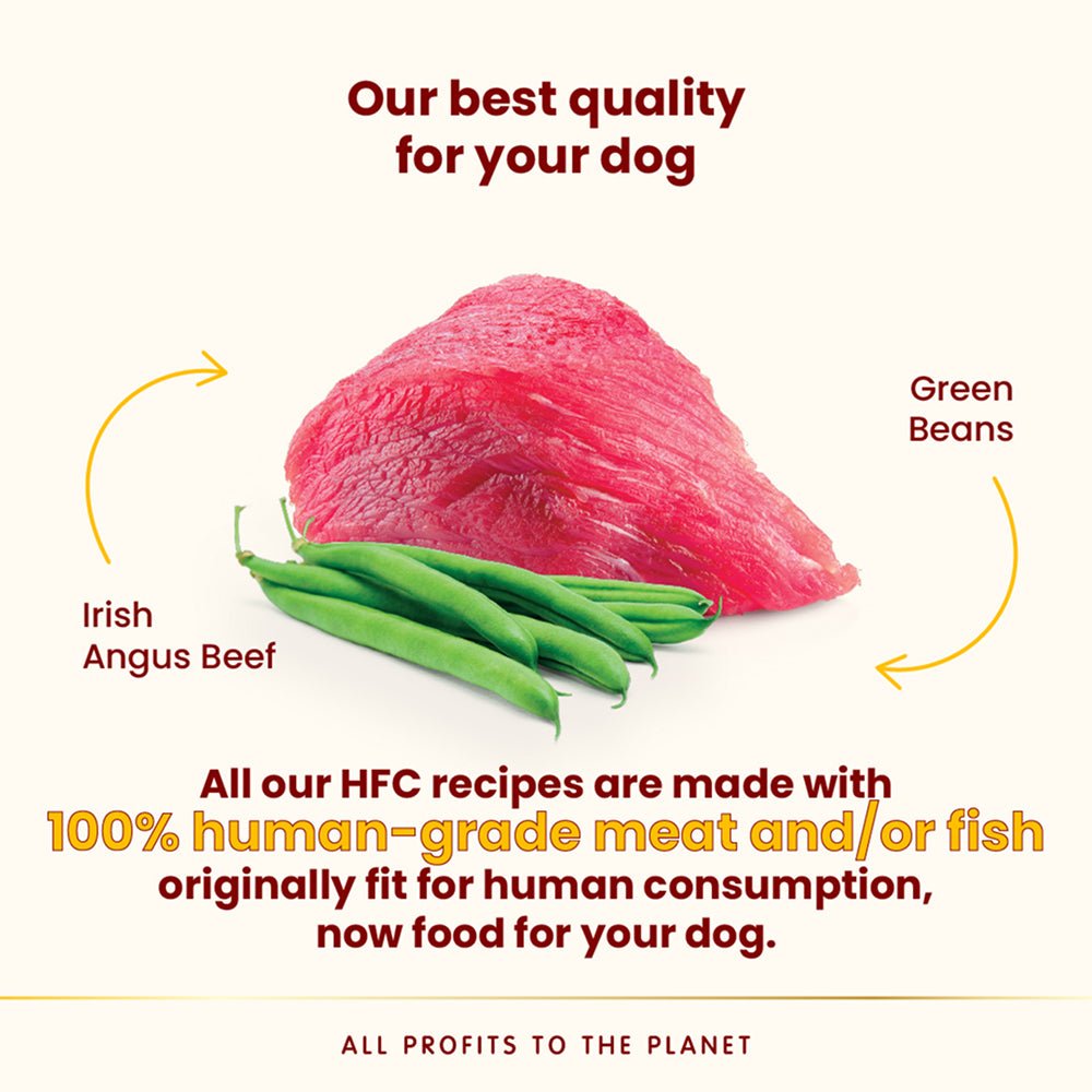 HFC Complete Irish Angus Beef With Green Beans Dog Can - Image 3