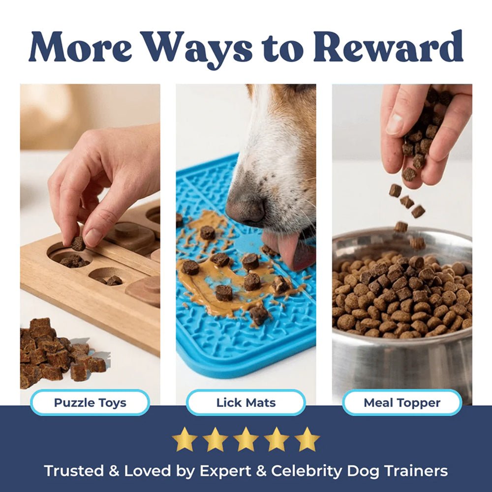 Beef Dog Training Treats w/ Superfoods - Image 11
