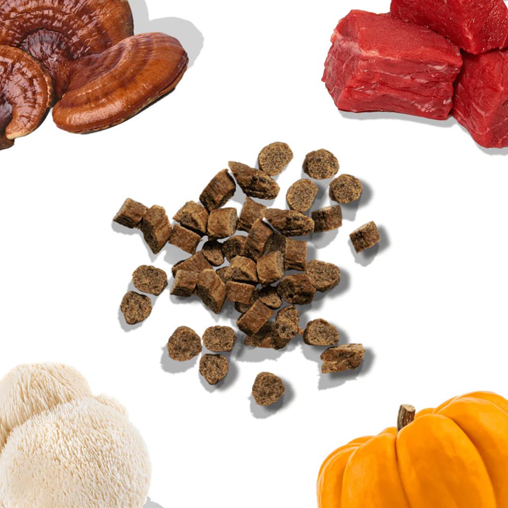 Beef Dog Training Treats w/ Superfoods - Image 12