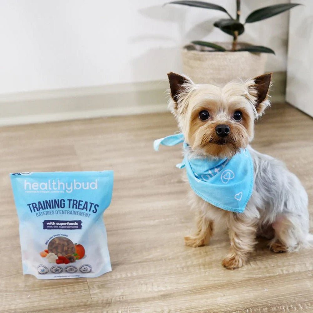 Beef Dog Training Treats w/ Superfoods - Image 5