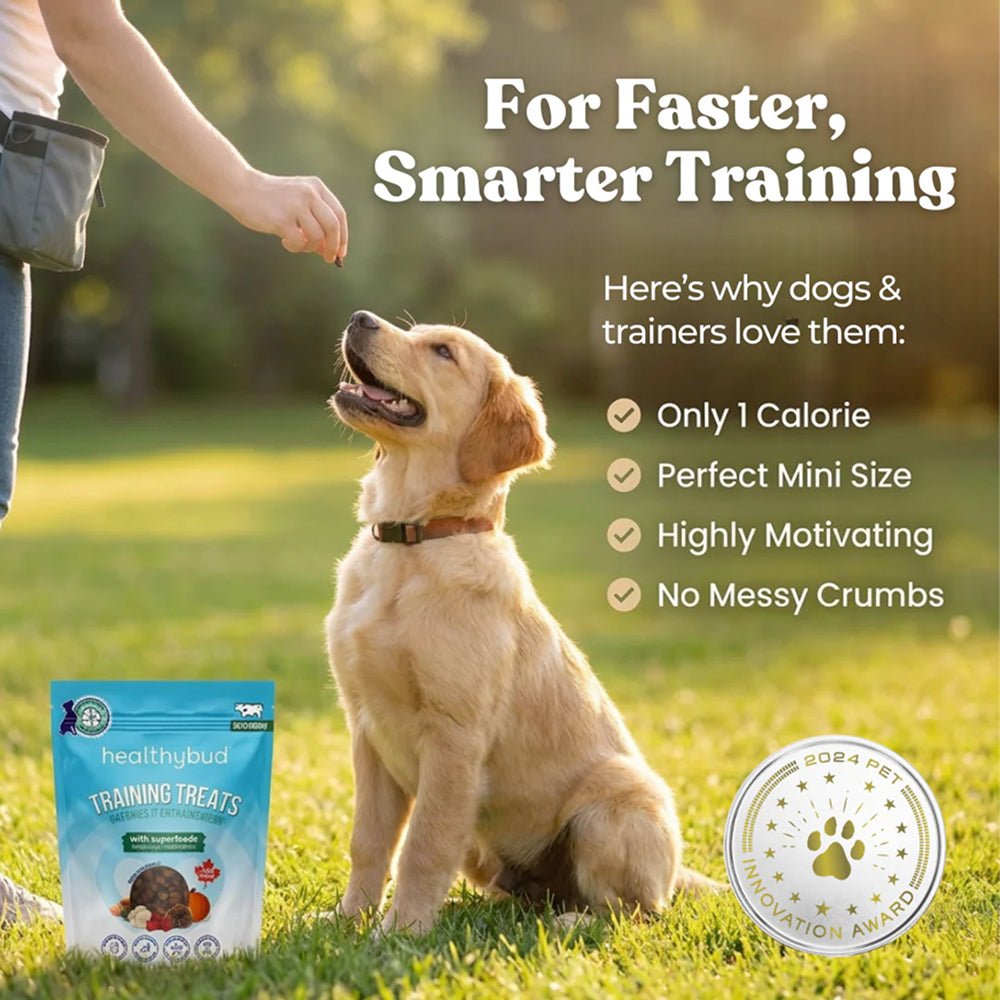 Beef Dog Training Treats w/ Superfoods - Image 7
