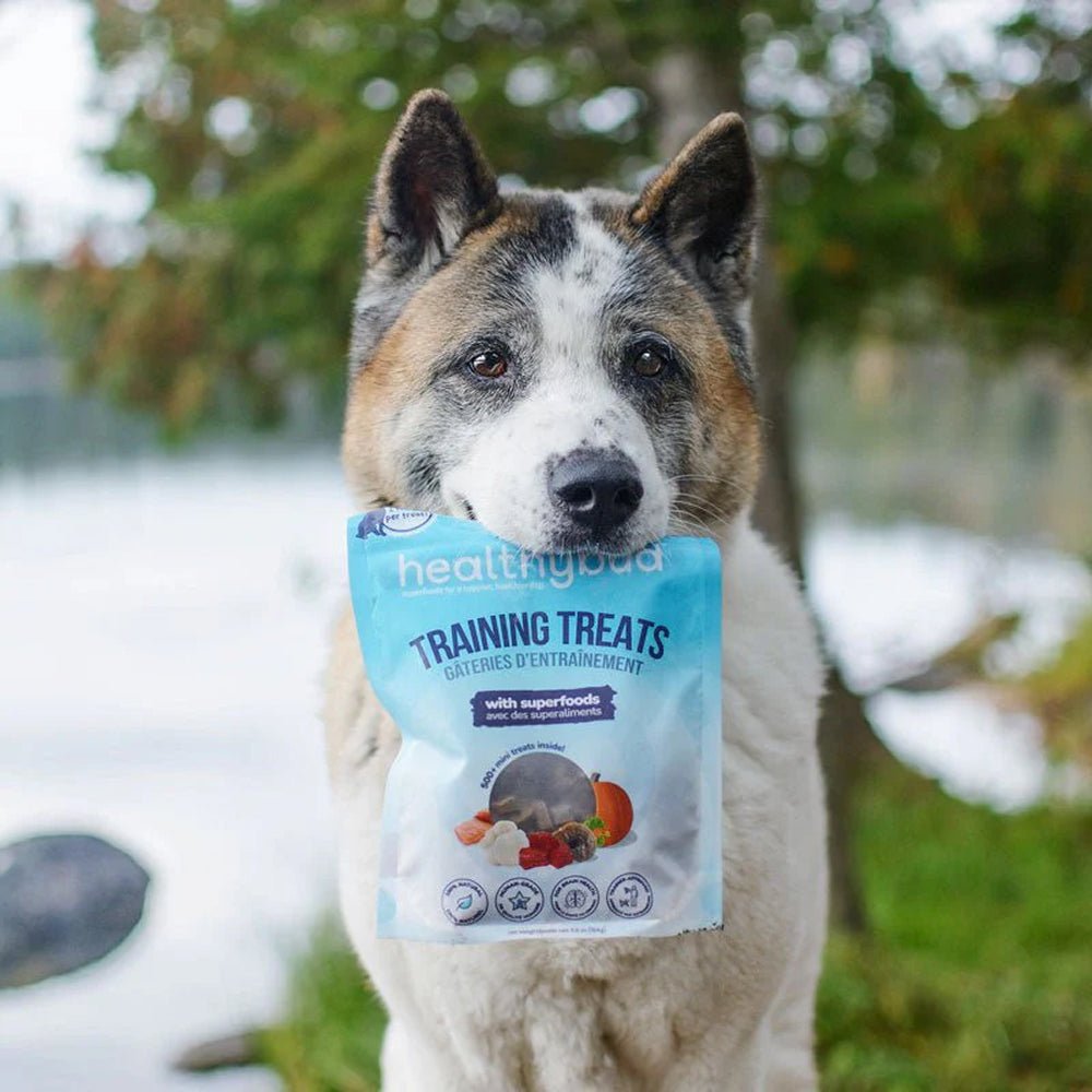 Beef Dog Training Treats w/ Superfoods - Image 9