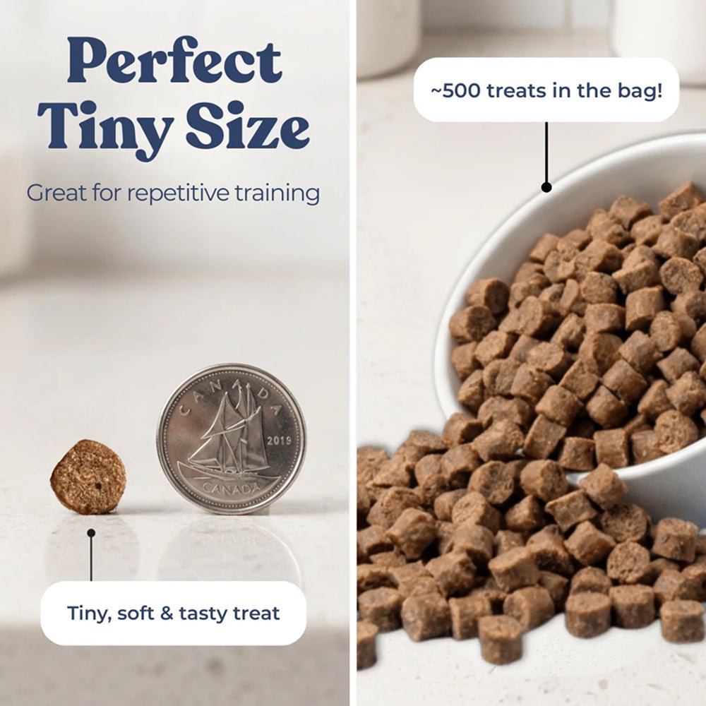 Chicken Dog Training Treats w/ Superfoods - Image 5