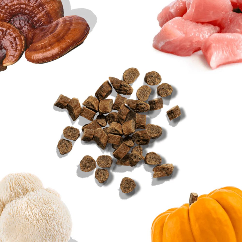 Chicken Dog Training Treats w/ Superfoods - Image 8