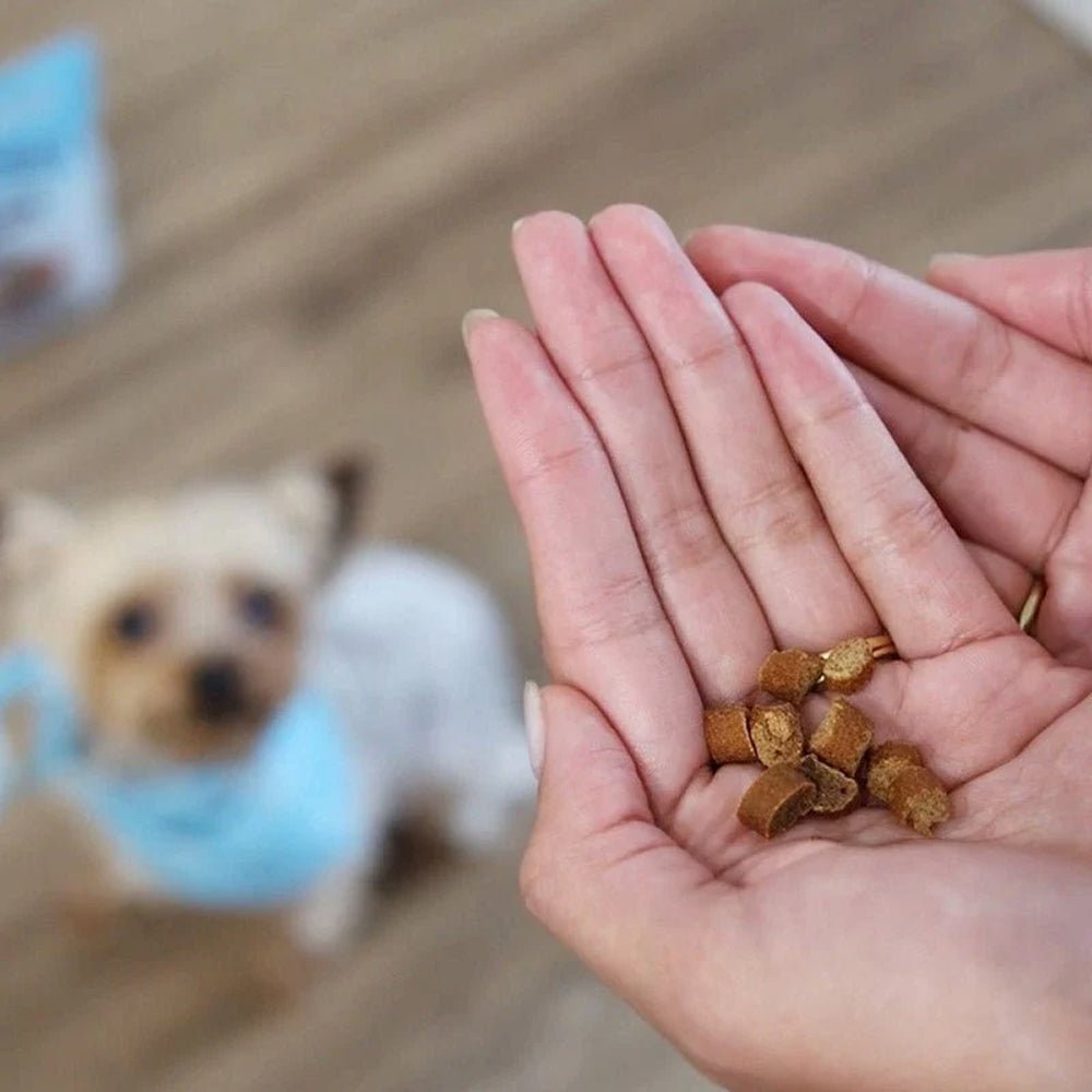 Chicken Dog Training Treats w/ Superfoods - Image 9