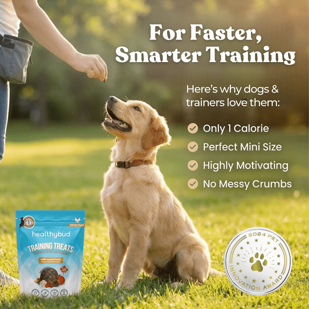 Chicken Dog Training Treats w/ Superfoods - Image 10