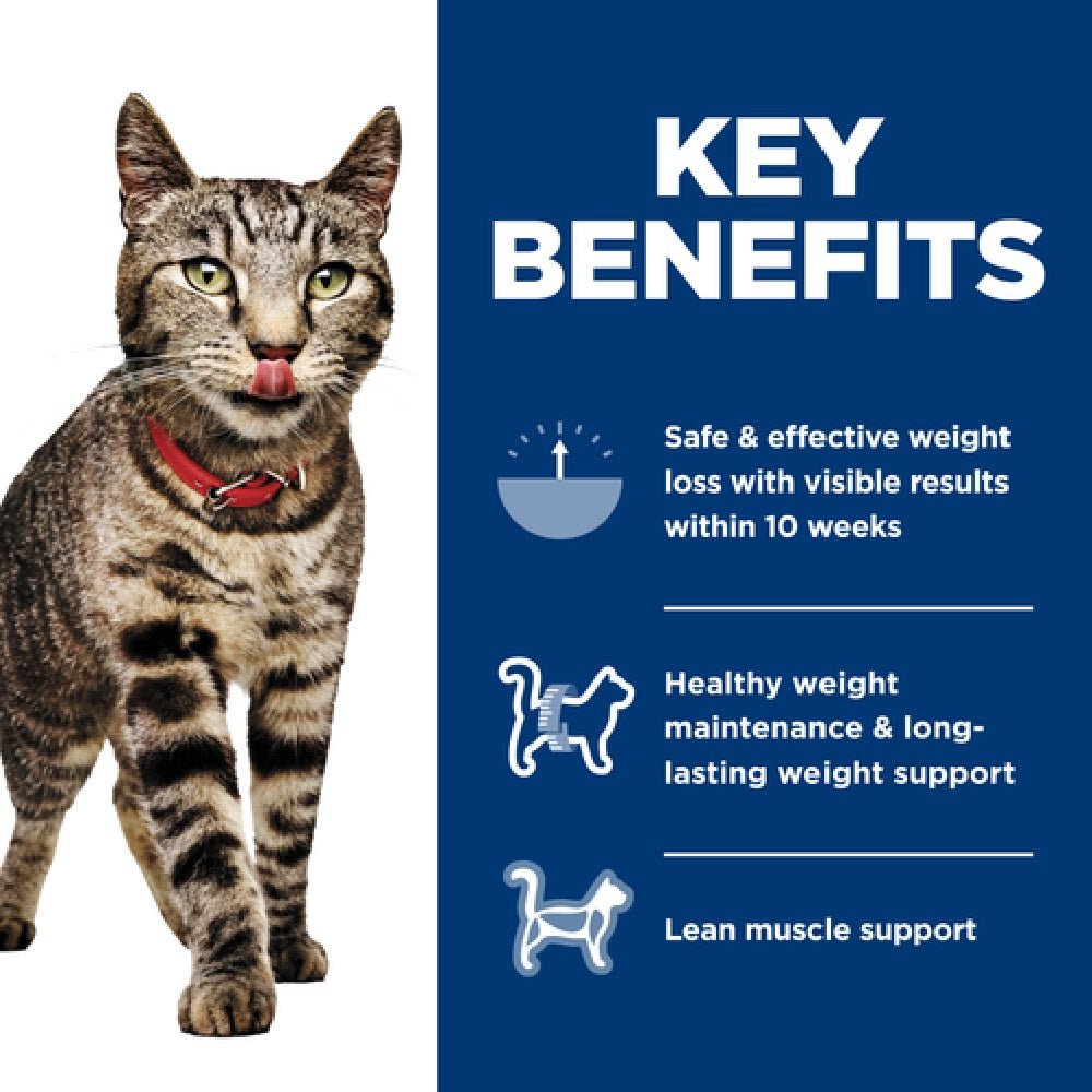 Science Diet - Adult Perfect Weight Vegetable & Turkey Medley Cat Wet Food - Image 4