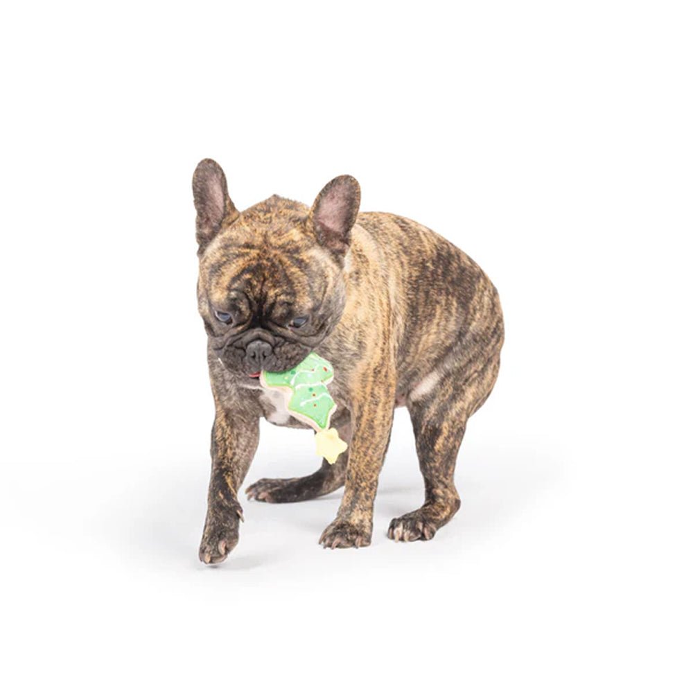 Tiny Tuff Christmas Tree Cookie Dog Plush Toy - Image 3