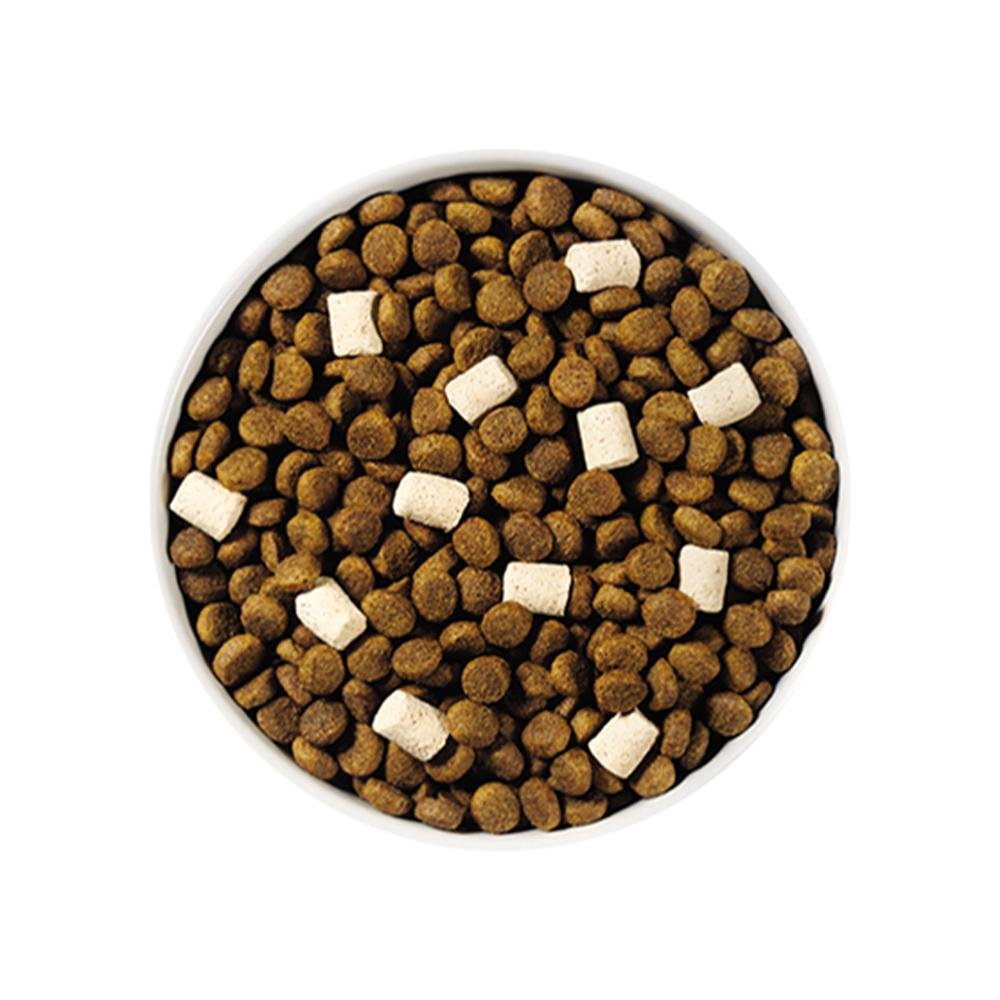 Raw Boost All Life Stages Whole Grain Kibble + Raw Dog Dry Food - Chicken & Brown Rice - Image 4