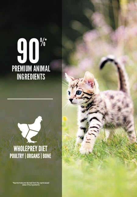 Kitten Formula Chicken & Turkey And Wild-Caught Salmon & Herring Cat Dry Food (USA) - Image 3