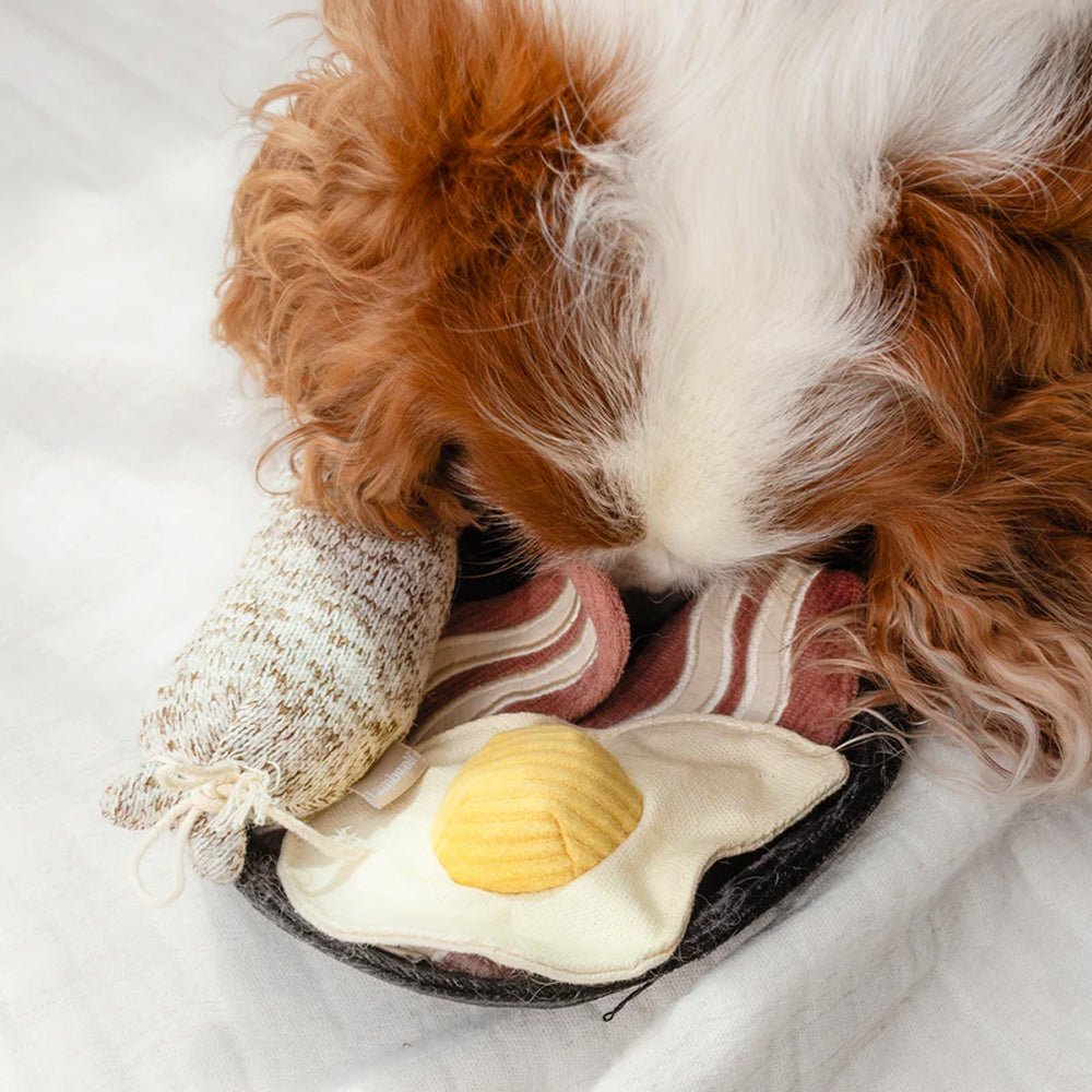 Bfast Burrow & Snuffle Dog Toy - Image 3