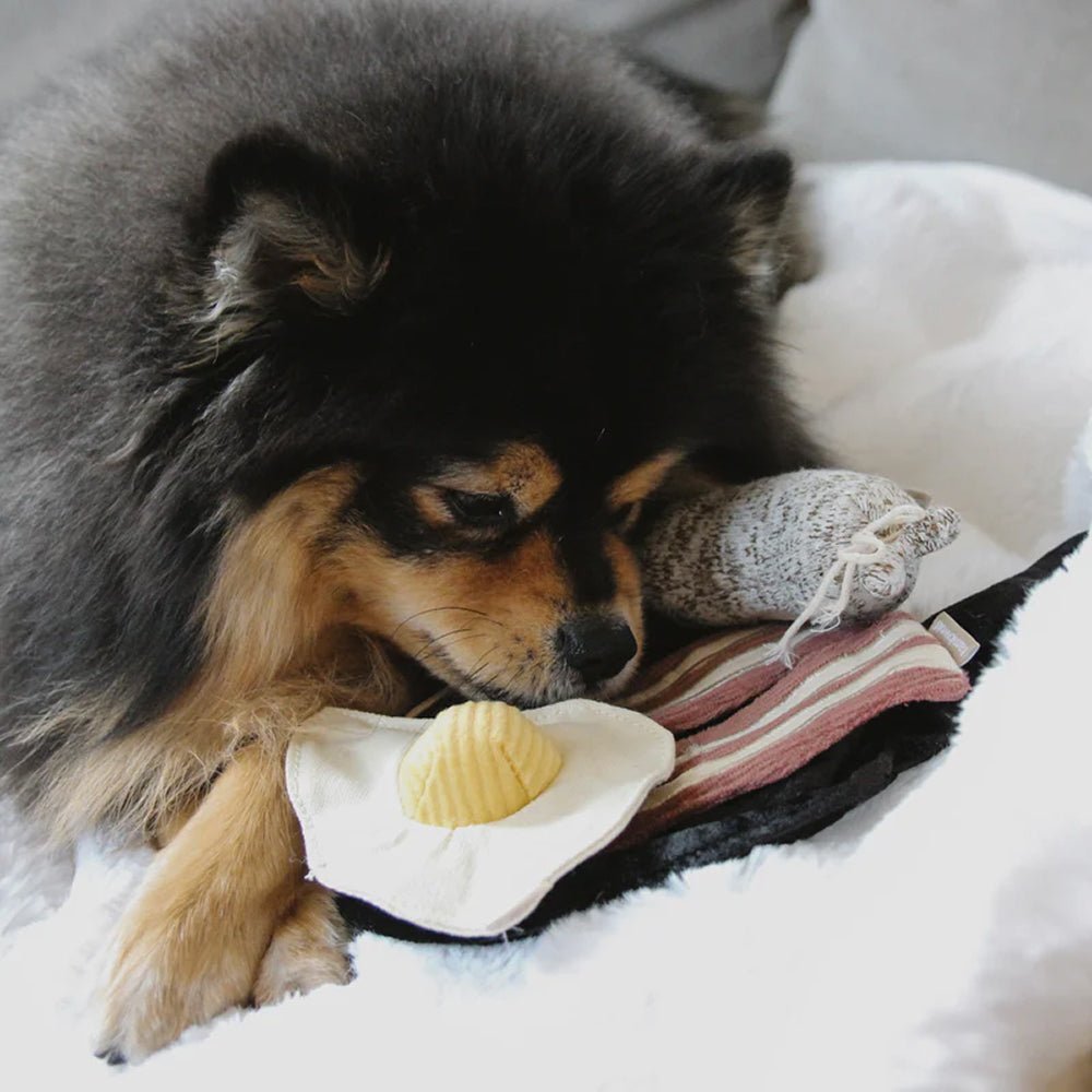 Bfast Burrow & Snuffle Dog Toy - Image 5