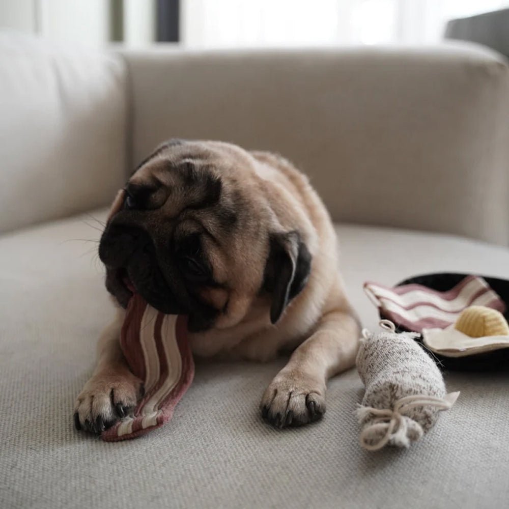 Bfast Burrow & Snuffle Dog Toy - Image 6