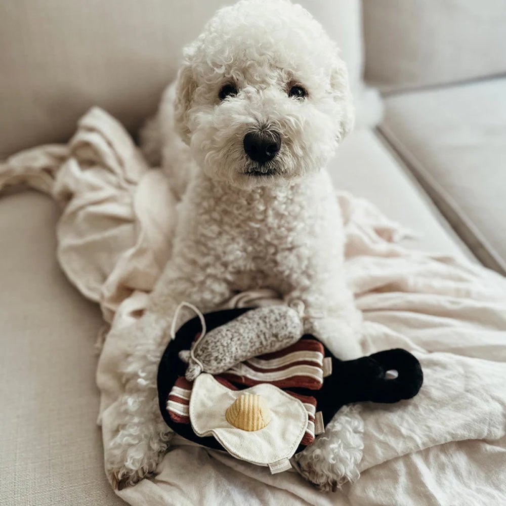 Bfast Burrow & Snuffle Dog Toy - Image 7