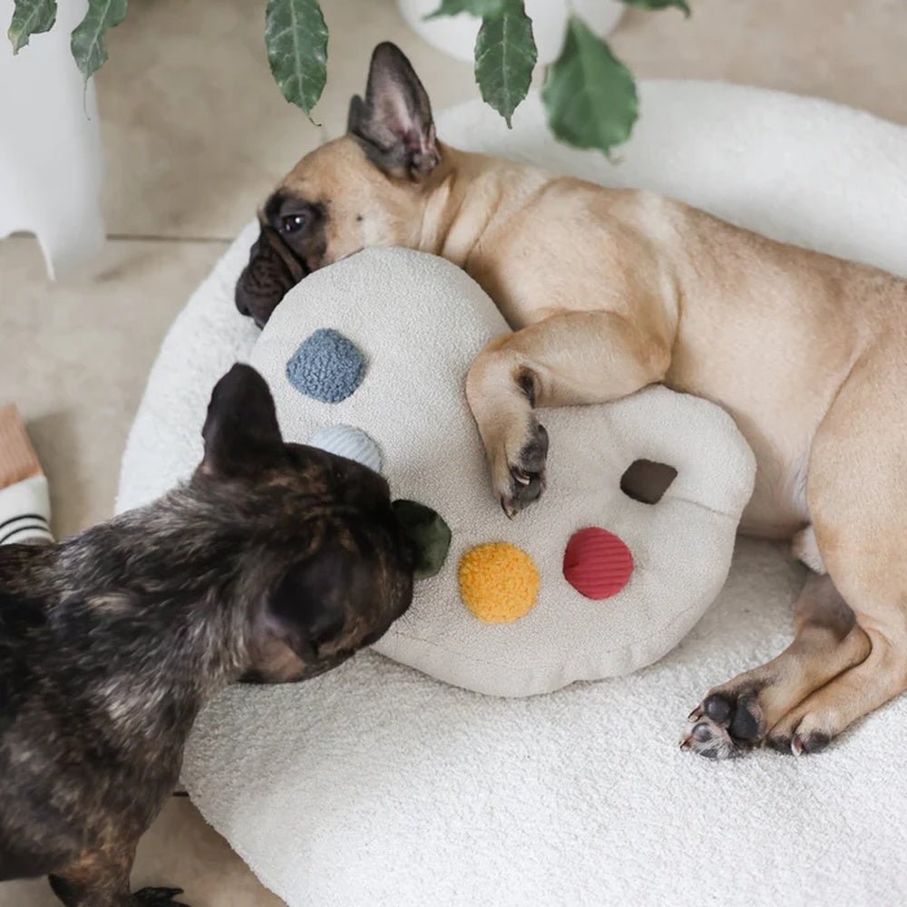 Colour Palette Set Cushion + Toss Dog Toy - Image 7
