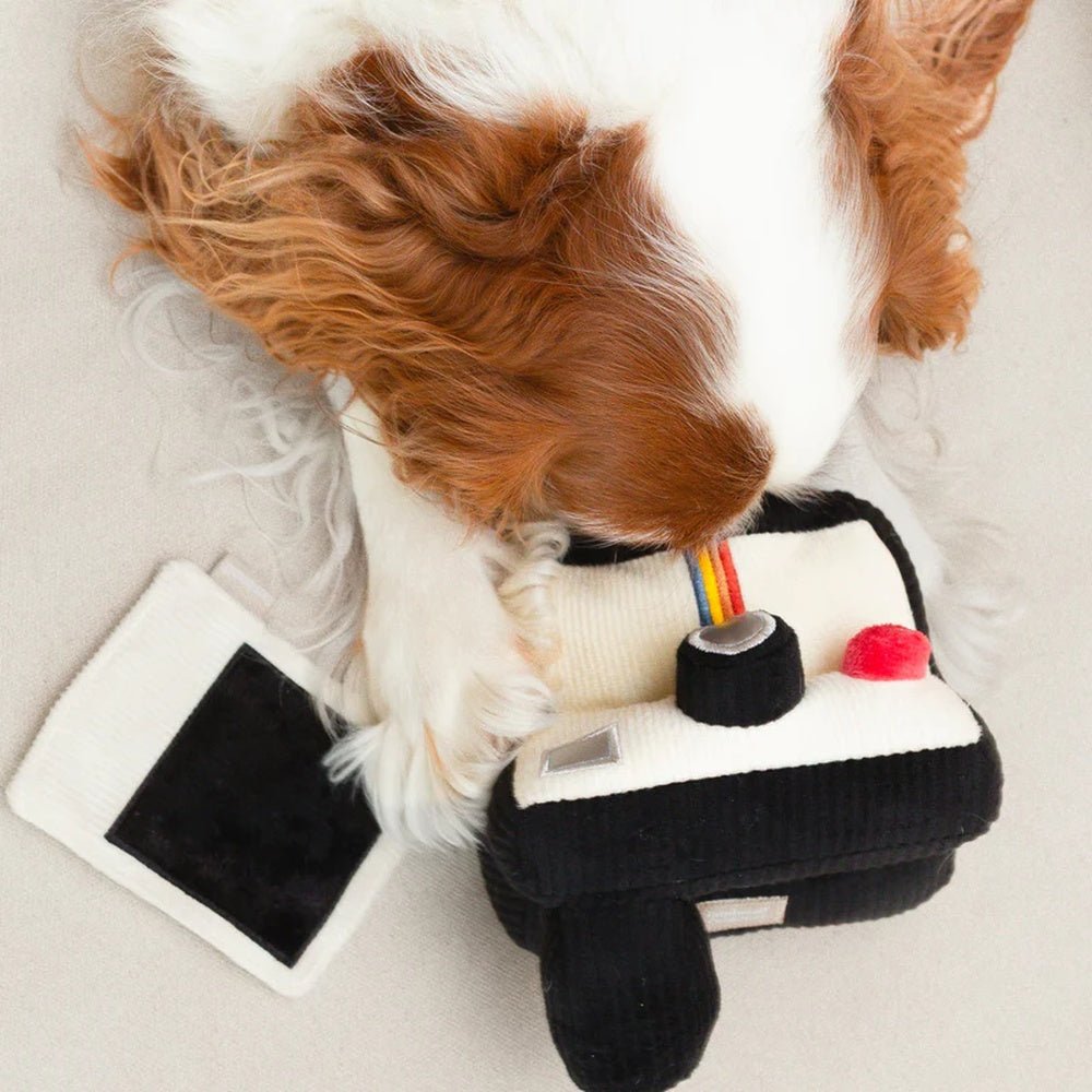 Instant Camera Snuffle + Squeaky Dog Toy - Image 4