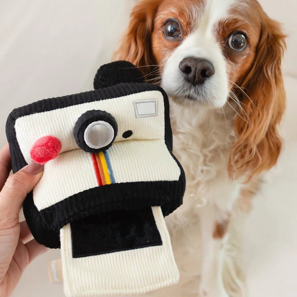 Instant Camera Snuffle + Squeaky Dog Toy - Image 6