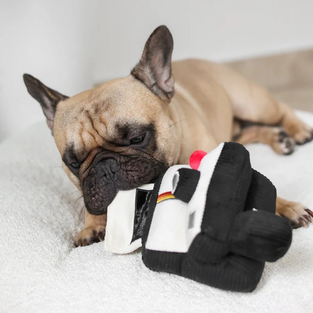 Instant Camera Snuffle + Squeaky Dog Toy - Image 9