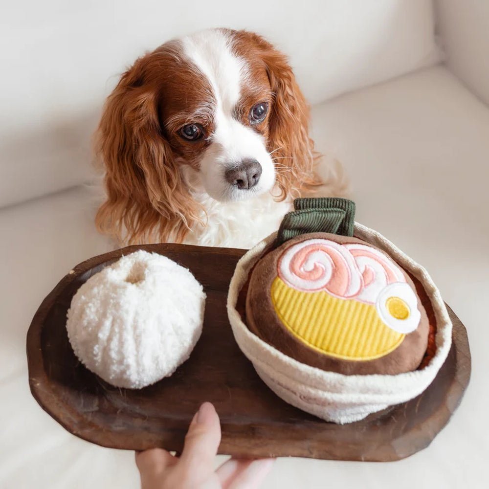 Ramen Snuffle + Squeaky Dog Toy - Image 3