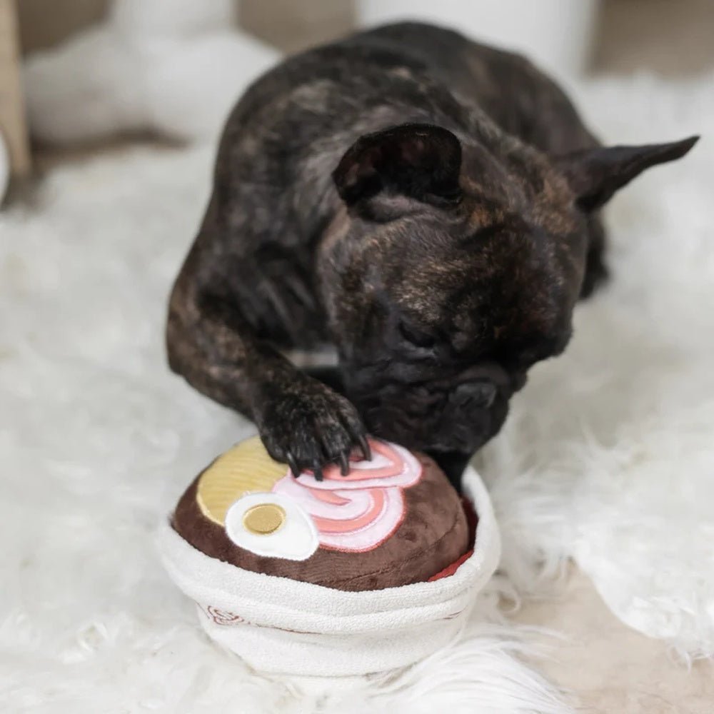 Ramen Snuffle + Squeaky Dog Toy - Image 5
