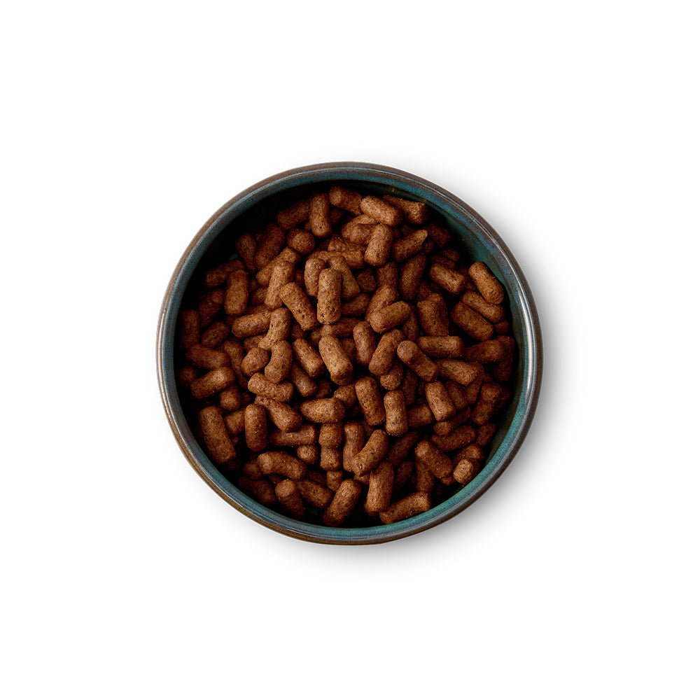 Medium / Large Breed Chicken Dog Dry Food - Image 2