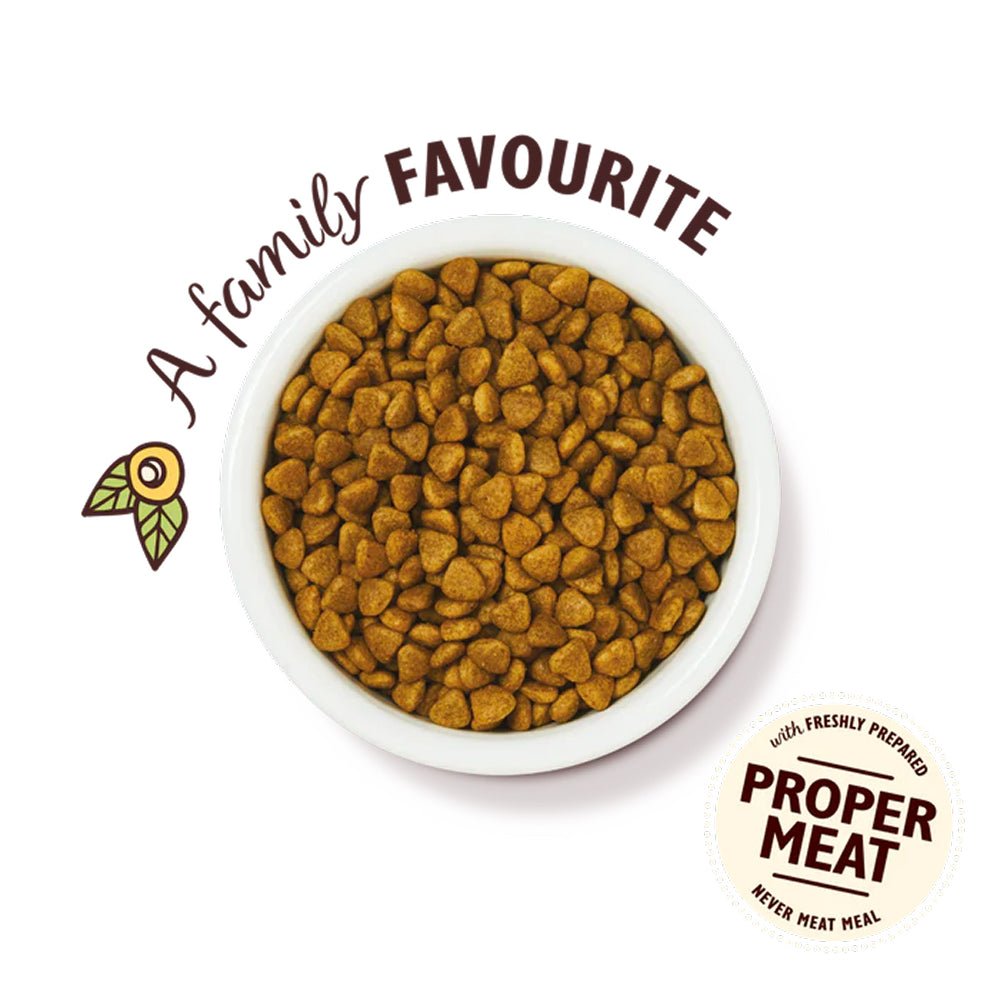 Chicken Casserole Cat Dry Food - Image 2