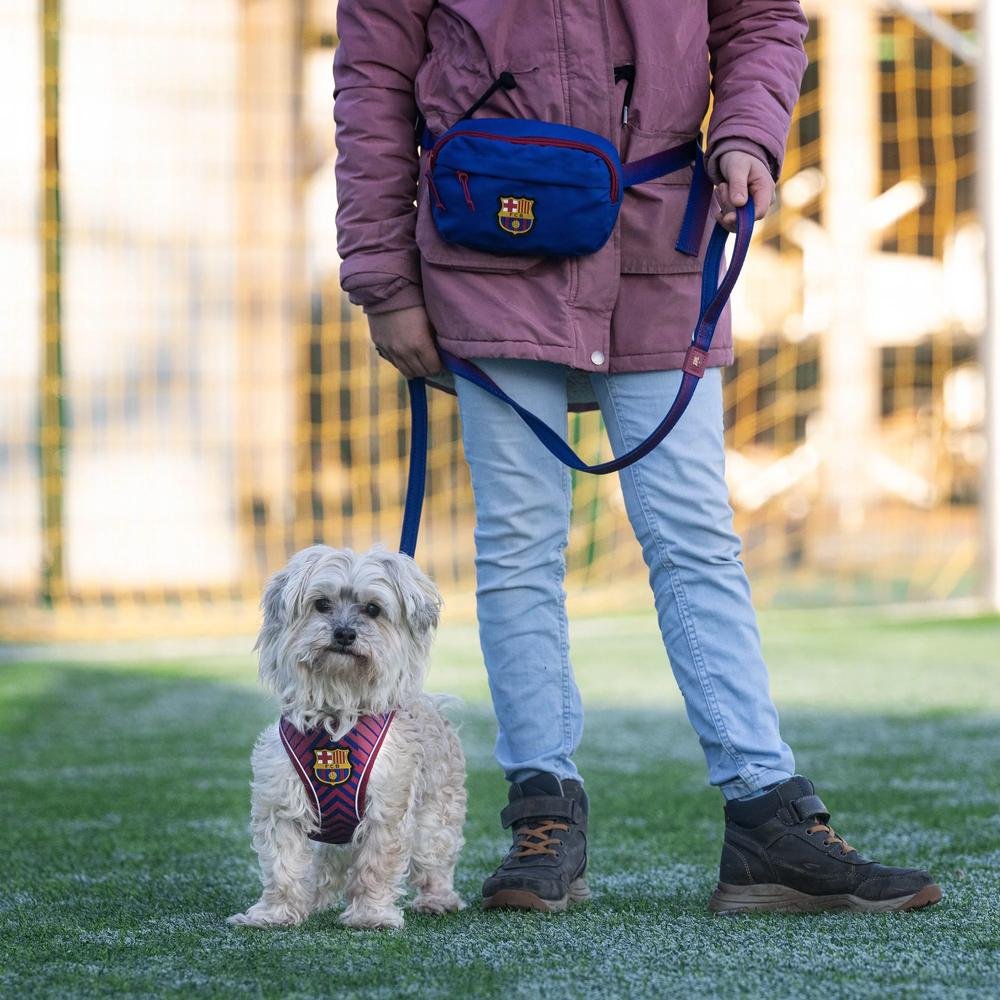 Barcelona Dog Training Bag - Image 5