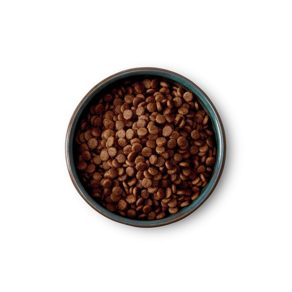 Small Breed Chicken Dog Dry Food - Image 2