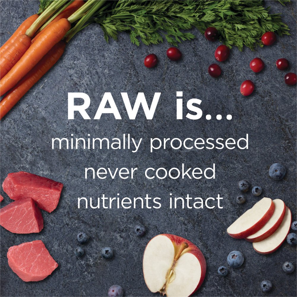 Raw Boost Grain Free Kibble + Raw for Small Breed Dog Dry Food - Real Beef - Image 5