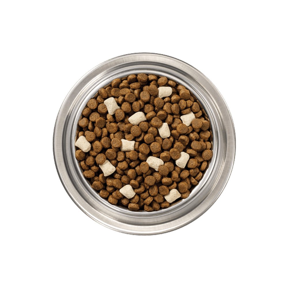 Raw Boost Grain Free Kibble + Raw for Small Breed Dog Dry Food - Real Beef - Image 7