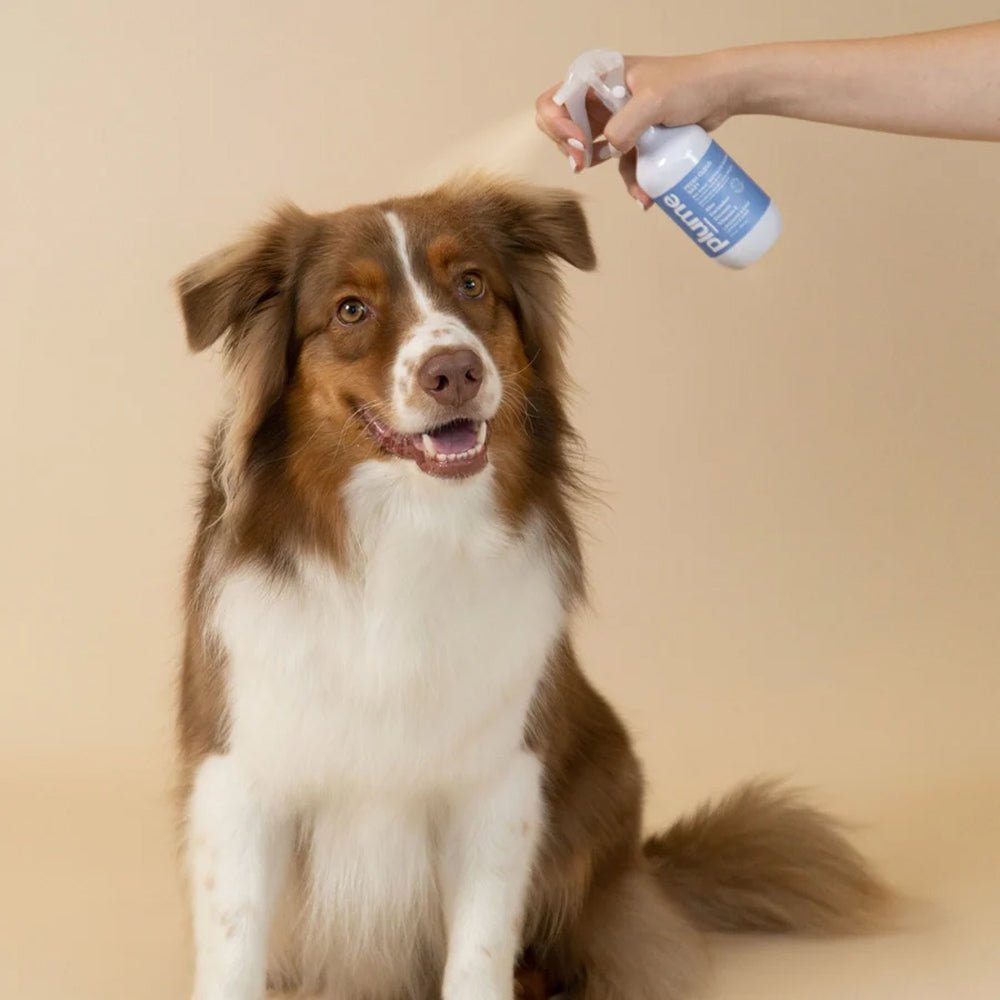 No-Rinse Waterless Shampoo for Dogs & Cats - Image 4