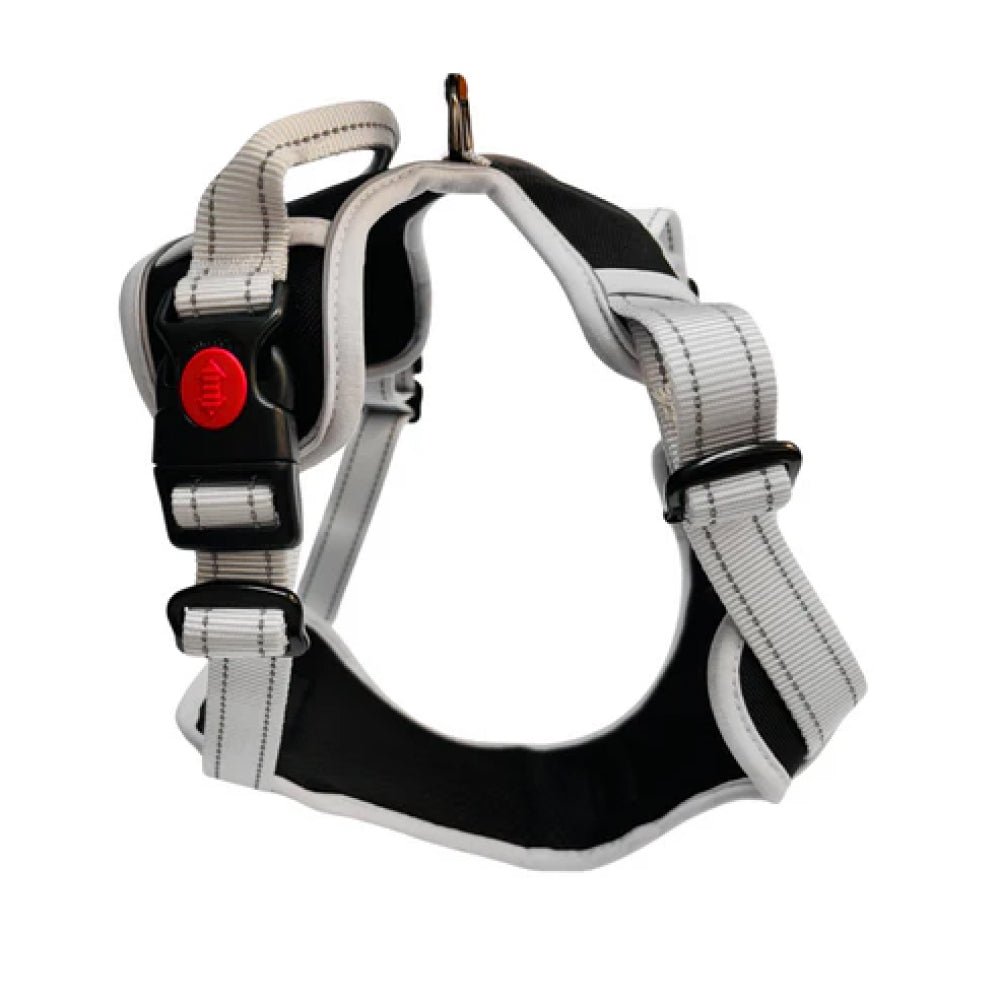 No Pull Dog Harness - Image 5