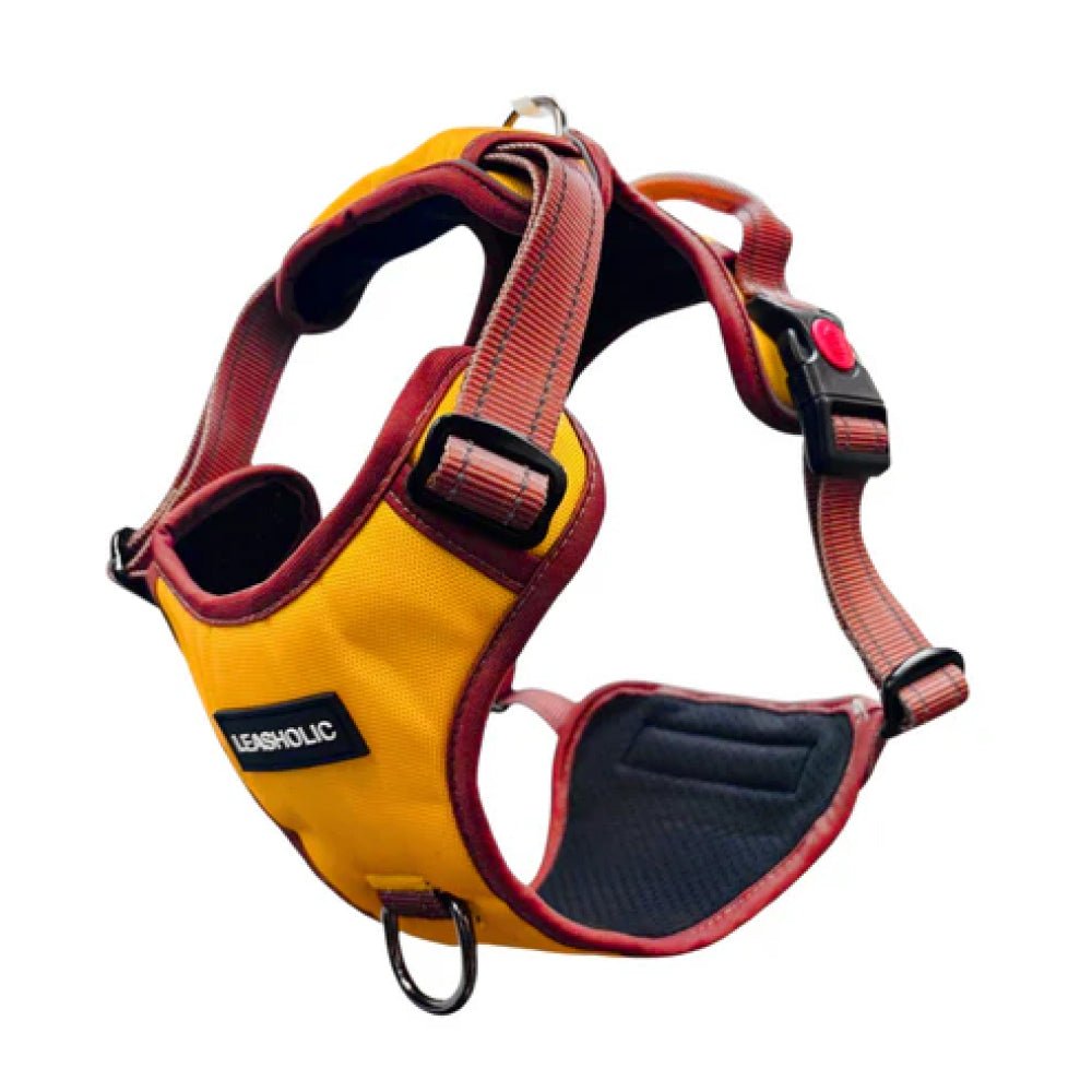 No Pull Dog Harness - Image 8