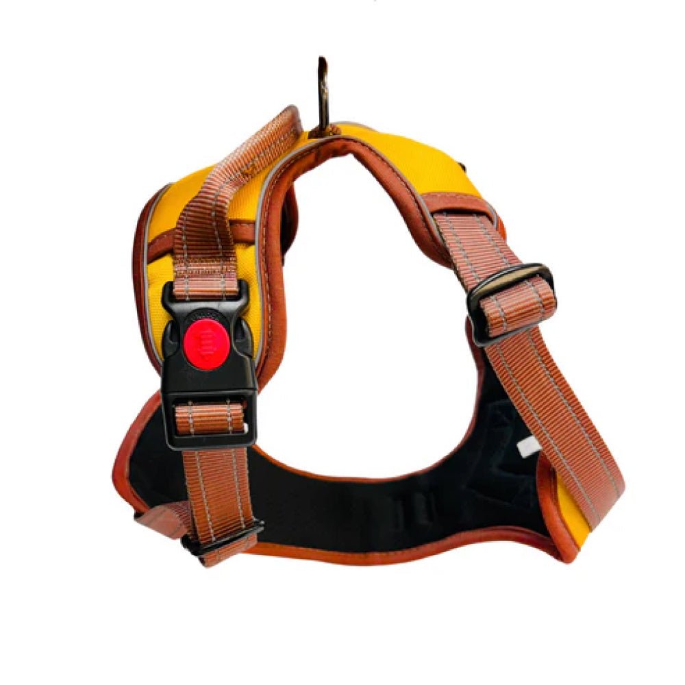 No Pull Dog Harness - Image 9