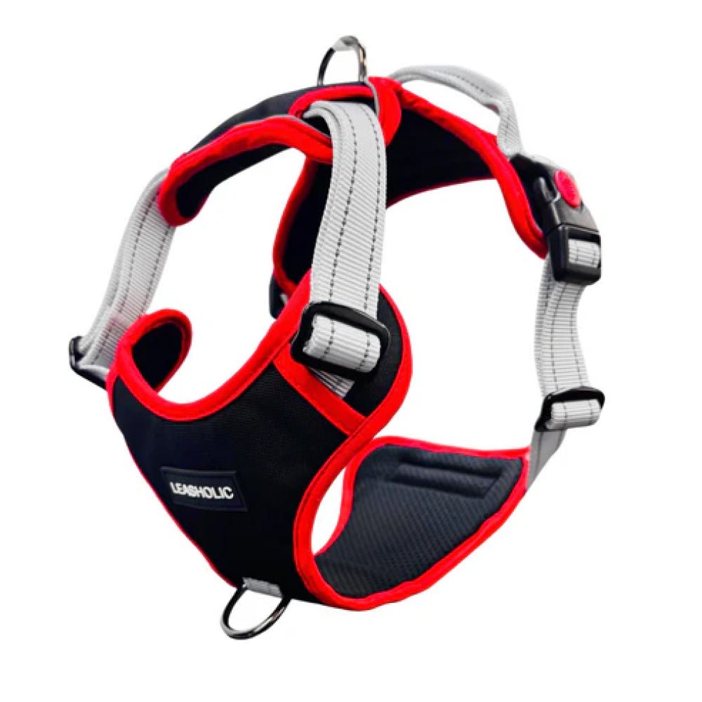 No Pull Dog Harness - Image 12
