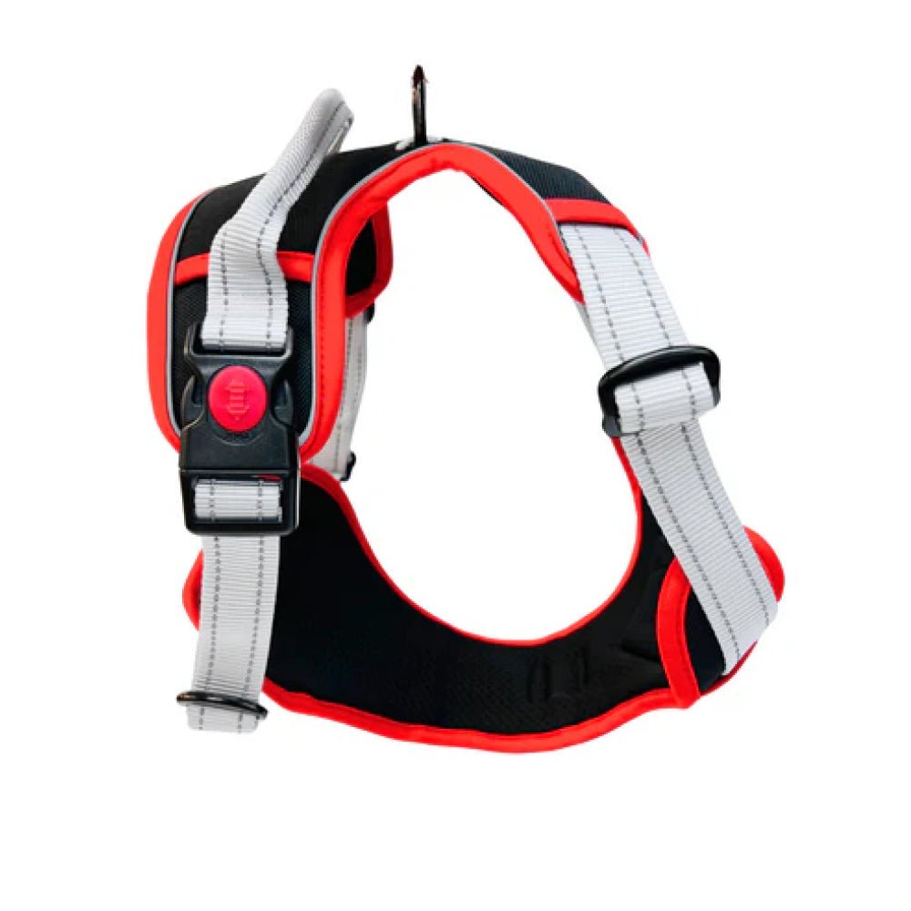 No Pull Dog Harness - Image 13