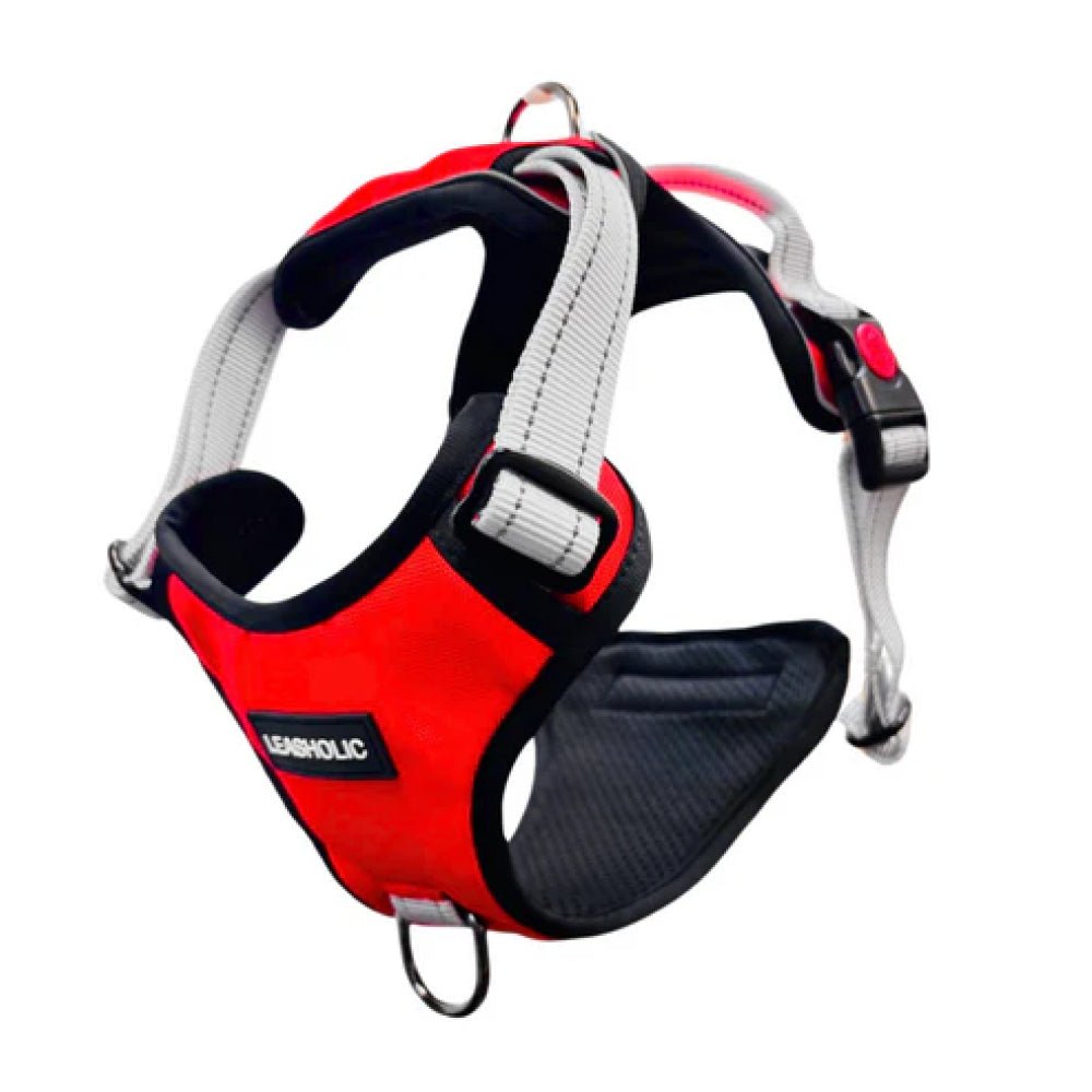 No Pull Dog Harness - Image 10