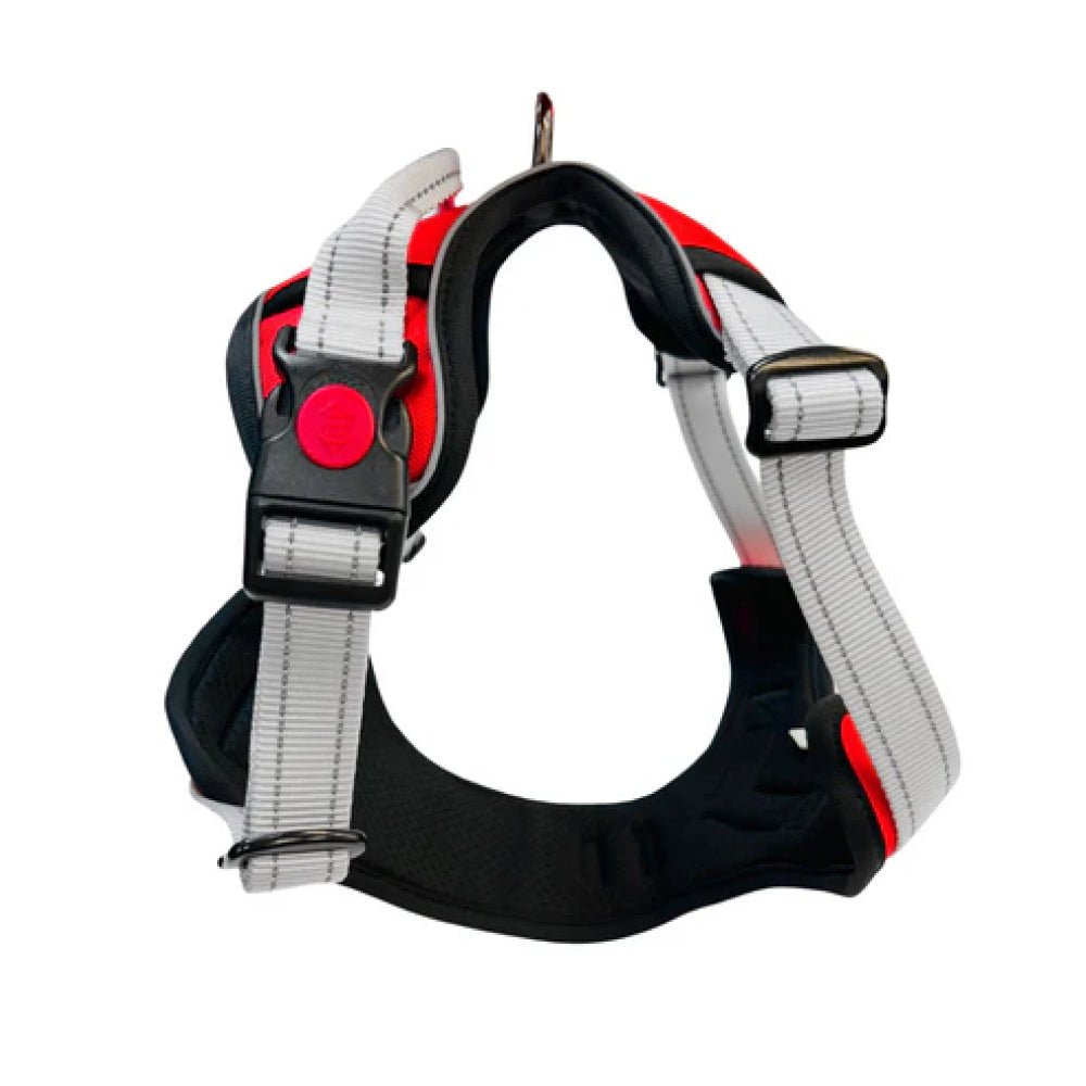 No Pull Dog Harness - Image 11