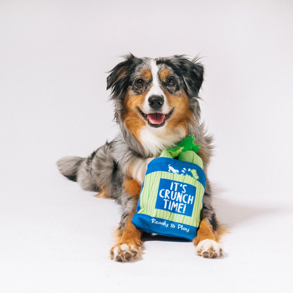 Picked Fresh Crunch Bunch 3-in-1 - Image 7