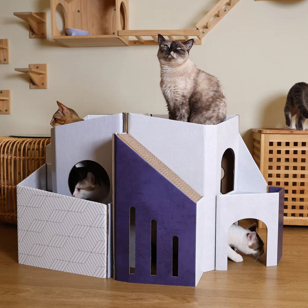 Mini Cat Mansion Foldable Cat House - D2 The Blue Hacienda - Image 4